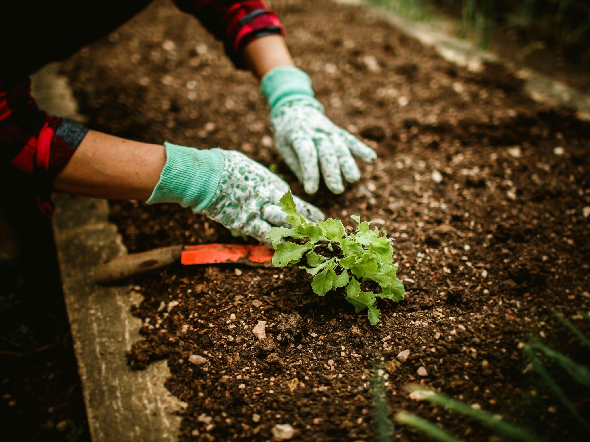 Community Garden